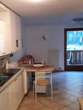 Le betulle Predazzo